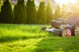 Lawn cut